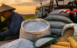 Căng thẳng Trung Đông: Phân bón trong nước tăng, nông sản lại giảm sâu - chuyện gì đang xảy ra?