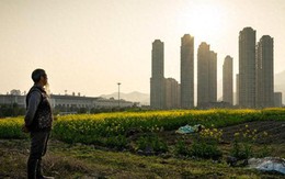 Về quê dịp Thanh minh, tôi nhận ra: Có những quyết định tiêu tiền tưởng “đổi đời” nhưng lại khiến nhiều gia đình lao đao