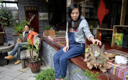 Cô giáo từng “bỏ việc đi khắp thế giới” sau 11 năm nay trở về quê: Cuộc sống giờ khác xa tưởng tượng