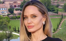 Brad Pitt chỉ trích gay gắt Angelina Jolie