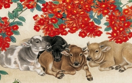 Sau một thời gian im ắng, 3 con giáp bắt đầu có dấu hiệu ‘đổi vận’