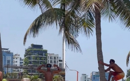 Khách Tây leo dừa thoăn thoắt ngay biển Đà Nẵng, kỹ năng khiến người Việt cũng phải chào thua