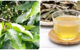 Những người không nên uống nước vối