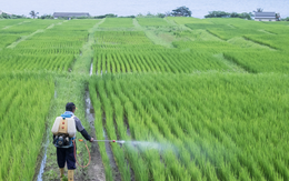 Phát minh của Trung Quốc xoay chuyển ngành phân bón: Ép chất thải độc hại thành nguyên liệu cho nông nghiệp, hiệu suất cao gấp 3 lần bình thường