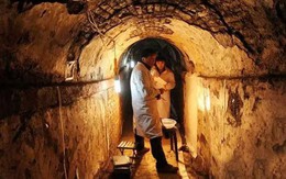 Khai quật mộ cổ 500 năm, chuyên gia hoảng hốt khi thấy "quái thú" sống bên trong: Nó đã ở đó từ bao giờ?