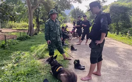 Nghi phạm sát hại vợ cũ treo cổ tự tử trong lán rẫy sau lời nhắn 'nguyện chết cùng ngày' trên Facebook