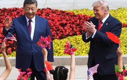 Chủ tịch Trung Quốc Tập Cận Bình hội đàm với Tổng thống Mỹ Donald Trump