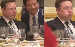 Elon Musk bỗng thành "meme toàn cầu" vì loạt khoảnh khắc vừa hài vừa dễ thương khi tham dự thượng đỉnh Mỹ - Trung