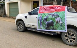 Em trai làm băng rôn bêu riếu anh khắp làng ở Hà Nội: Hé lộ nguồn cơn và cái kết