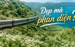 "Thiên đường hạ giới" đang phủ trắng muốt đèo Hải Vân khiến bao người đắm say: Đẹp đến đâu, đáng lo đến đó!