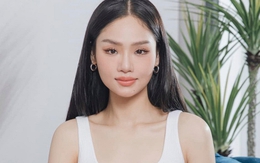 Công ty quản lý loại bỏ Miu Lê
