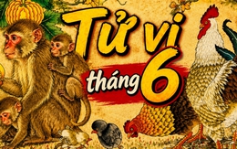 Top 3 con giáp may mắn nhất tháng 6/2026: Một tuổi đổi đời nhờ quý nhân, hai tuổi còn lại "tiền sinh ra tiền"