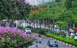 Từ bỏ ‘đua tranh khốc liệt’ ở quê nhà, nhiều người Mỹ chọn Việt Nam: ‘Chất lượng cuộc sống rất cao’