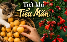 Lời khuyên cho 12 con giáp trong tiết Tiểu Mãn
