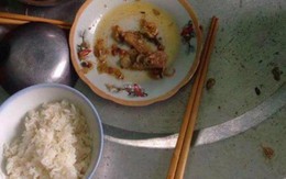 Nhìn mâm cơm chồng "để phần" lúc 3 giờ sáng sau ca làm đêm kiệt sức, tôi không khóc mà lẳng lặng gửi thẳng cho mẹ chồng