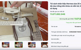 Đấu giá thành công 2 túi Hermès bạch tạng của Trương Mỹ Lan, thu hơn 14 tỷ đồng
