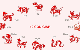 Dự báo tài lộc 12 con giáp trong 7 ngày tới (23-29/5): Có người gỡ được áp lực tiền bạc, có người bất ngờ gặp “mối kiếm tiền”