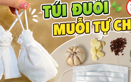 Các “mẹo chống muỗi” đang được nhiều gia đình áp dụng mùa hè này: Có cách chỉ tốn vài nghìn đồng nhưng hiệu quả bất ngờ