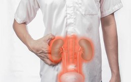 Nhiều quả thận của người Việt bị tổn thương vĩnh viễn một cách “oan uổng”: Bác sĩ Thận tiết niệu cảnh báo