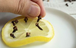 Mẹo đuổi ruồi mùa nóng siêu dễ: Hiệu quả tức thì, không cần hóa chất