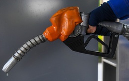 Thêm 3 doanh nghiệp đầu mối xăng dầu bị phạt 450 triệu đồng
