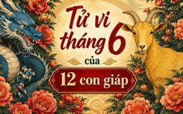 Dự báo biến động tài vận của nhóm Tứ Hành Xung 4 con giáp Thìn-Tuất-Sửu-Mùi trong tháng 6