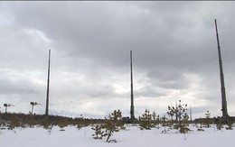 The Telegraph: Tác chiến điện tử Nga điều hướng UAV Ukraine bay vào Phần Lan và các nước Baltic