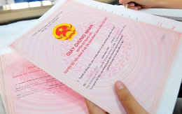 Sau hơn 20 năm làm dâu, một tờ giấy khước từ tài sản khiến tôi đau đớn hơn cả mất tiền