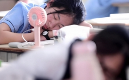 GVCN 17 năm phát hiện nghịch lý: Những đứa trẻ ích kỷ khi lớn lên, lúc nhỏ thường sở hữu 2 "ưu điểm" mà cha mẹ luôn tự hào