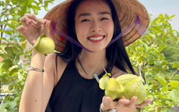 Mỹ nhân Việt làm chủ 3 công ty, sống trong nhà phố 100m2, sân thượng trồng gì mà lúc nào cũng trĩu quả?