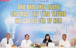 Dư địa phát triển điện mặt trời mái nhà của TPHCM còn rất lớn