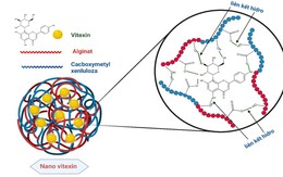 Độc quyền sáng chế: Việt Nam tạo đột phá nguyên liệu Nano công nghệ cao từ... vỏ đậu xanh