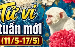 Tử vi tuần mới (11/5-17/5): Top 3 con giáp được Thần Tài che chở, quý nhân giúp đỡ hết mình