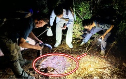 Đang khảo sát trong rừng, chuyên gia sững người khi thấy sinh vật 'hai đầu' kỳ lạ: Chưa từng thấy bao giờ