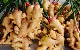 7 lợi ích của cây gừng