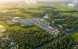 Đề xuất triển khai dự án khí hậu chưa từng có 9,8 triệu USD ở "thủ phủ cà phê" của Việt Nam