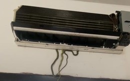 Loài rắn “thích” làm ổ trong điều hòa tại Việt Nam: Có độc và gây nguy hiểm cho con người hay không?