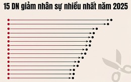 Lộ diện những 'ông lớn' giảm nhân sự nhiều nhất năm 2025: Nhóm ngân hàng áp đảo, Golden Gate, Viettel Post, Hòa Phát... giảm hàng nghìn người