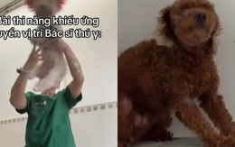 Bác sĩ thú y ở TP.HCM bị chỉ trích khi giày vò chó mèo ở phòng khám, càng lên tiếng càng gây phẫn nộ