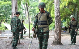 Quét radar tìm các hố chôn tập thể tại Công viên Lê Thị Riêng