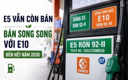 Xăng E5 bỗng dưng "đắt hàng", nhiều chủ xe đời cũ săn lùng: Bộ Công Thương nói gì?