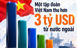 Một tập đoàn Việt Nam thu hơn 3 tỷ USD từ nước ngoài, lớn hơn FPT, Vinamilk và VinFast cộng lại