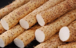 Tác dụng của củ mài tươi với sức khỏe