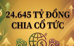Kỷ lục ở Việt Nam: Chi gần 1 tỷ USD tiền mặt chỉ để trả cổ tức