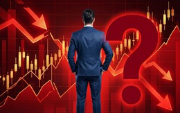 Ai vừa mất vị trí "số 1 Việt Nam" vào tay Vinhomes về chia cổ tức tiền mặt? Không phải các ngân hàng!