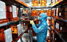 Nga dấn thân vào lĩnh vực "khó đến cực đoan": Rất tốn tiền, 1 hạt bụi rơi vào là hỏng, nhưng thành quả thu về thì vô giá