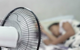Không cần chỉnh số to nhất, bật quạt thế này vào ban đêm mát hơn bình thường: EVN hướng dẫn