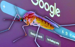 Google sắp thả 32 triệu con muỗi tại Mỹ: Công nghệ AI là thứ duy nhất giúp kế hoạch này không trở thành thảm họa
