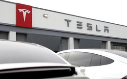 Nóng: Tesla đang bị điều tra đặc biệt