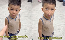 'Khối nghỉ hè' chọn đi cày hơn về nhà đi học khiến dân mạng cười bò